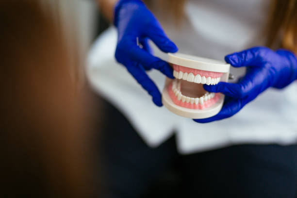 Best Laser Dentistry  in Fern Park, FL